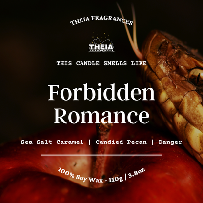 Forbidden Romance