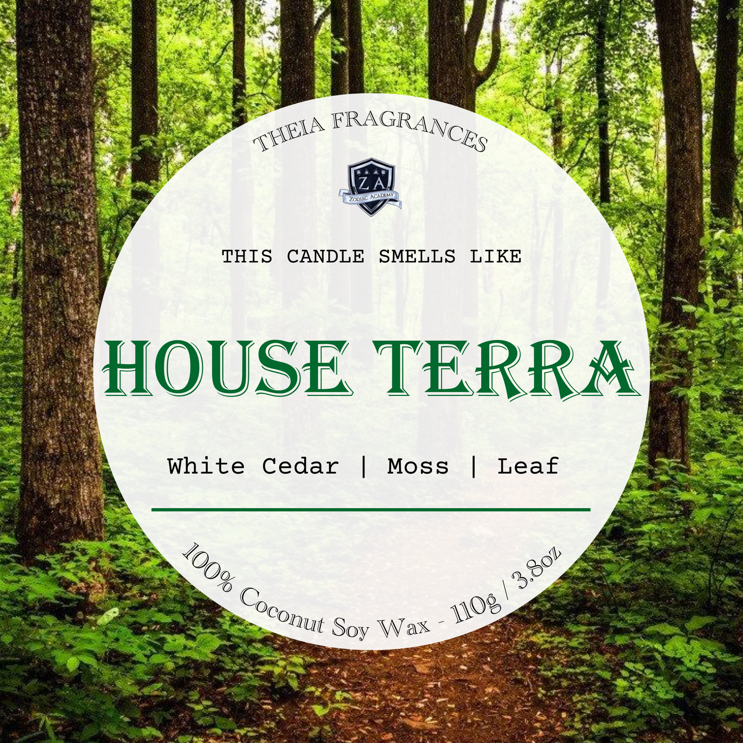 House Terra